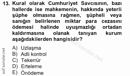 Soru 13