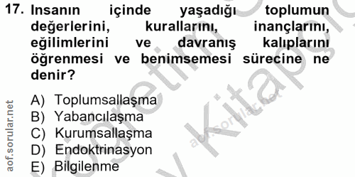 Soru 17