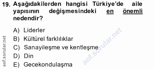 Soru 19