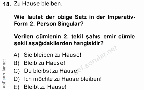 Soru 18