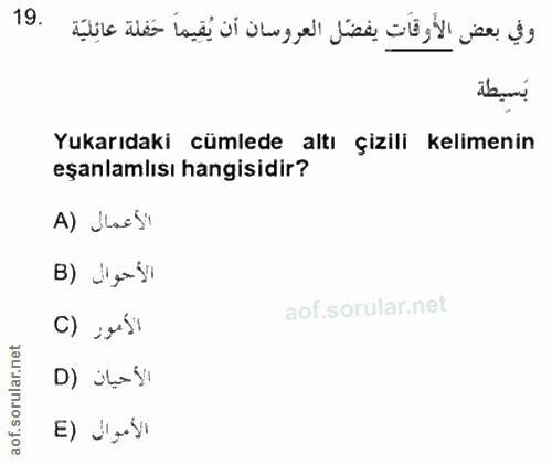 Soru 19