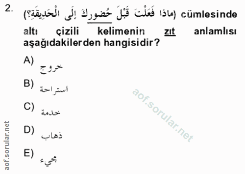 Soru 2