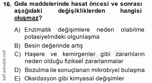 Soru 16