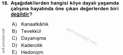 Soru 18