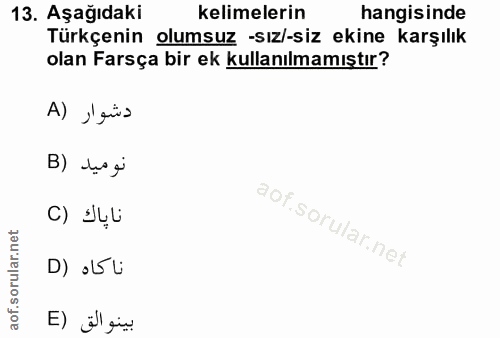 Soru 13