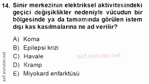 Soru 14