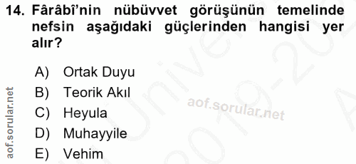 Soru 14