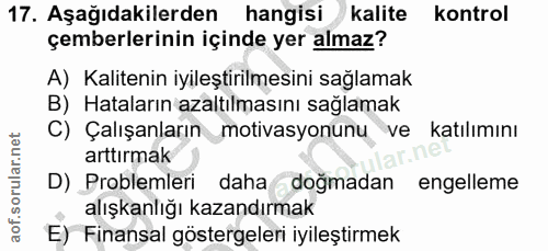 Soru 17