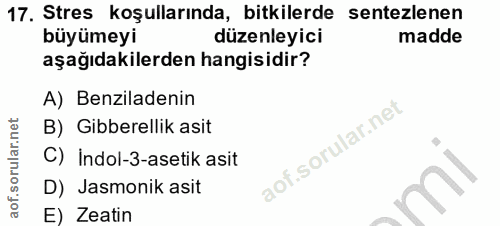 Soru 17