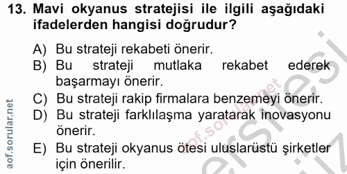 Soru 13