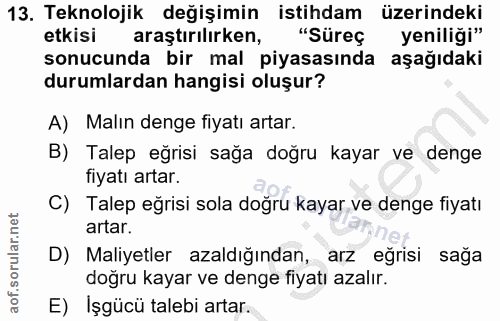 Soru 13