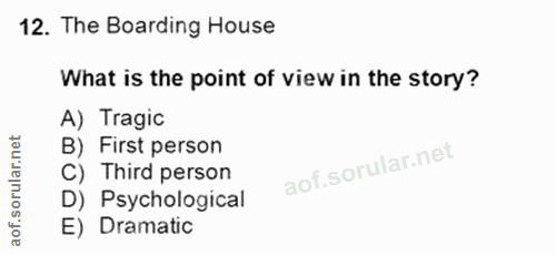 Soru 12