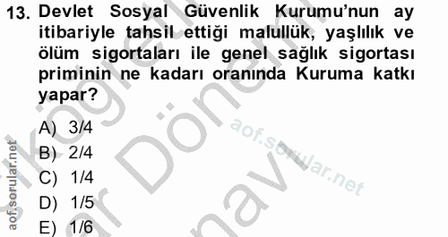Soru 13