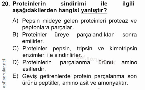 Soru 20