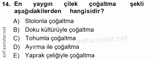 Soru 14
