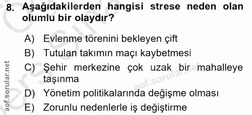 Soru 8