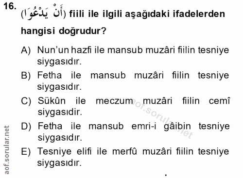Soru 16