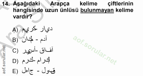 Soru 14