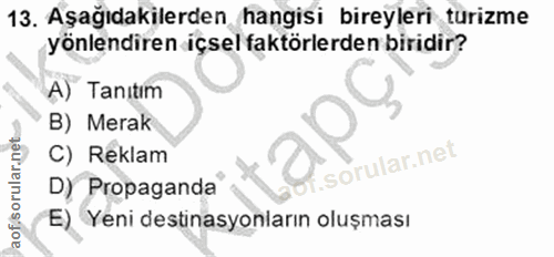 Soru 13
