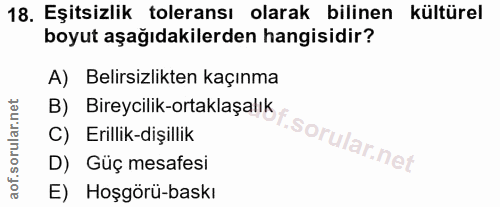 Soru 18