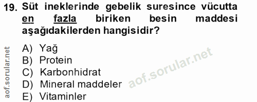 Soru 19