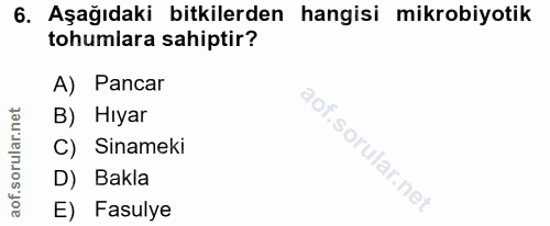 Soru 6