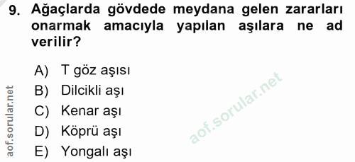 Soru 9