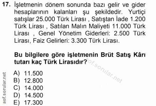 Soru 17