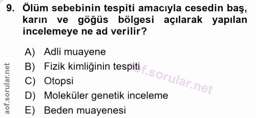 Soru 9