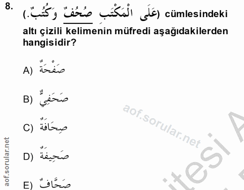 Soru 8