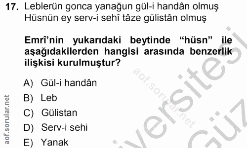 Soru 17
