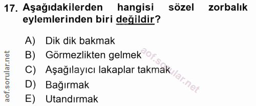 Soru 17