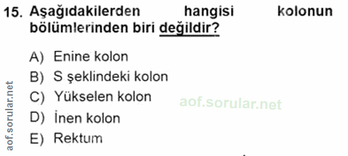 Soru 15