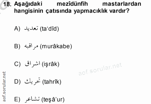 Soru 18