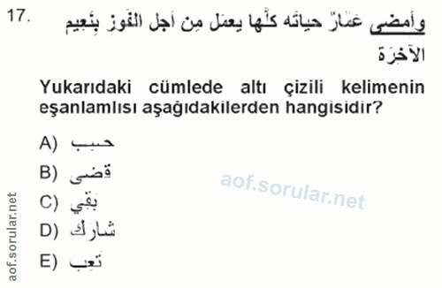 Soru 17