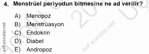 Soru 4