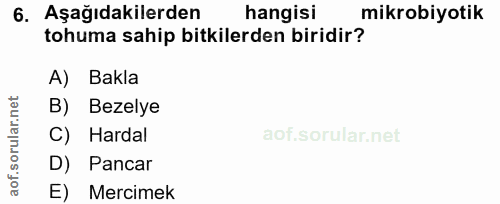 Soru 6