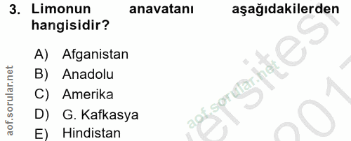 Soru 3