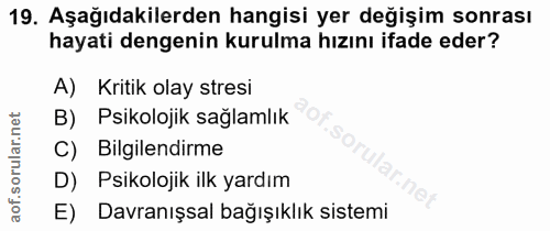 Soru 19