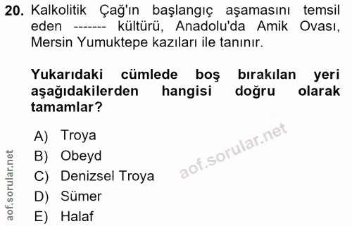 Soru 20