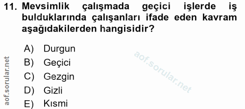 Soru 11