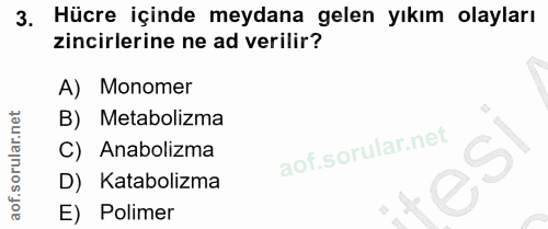 Soru 3