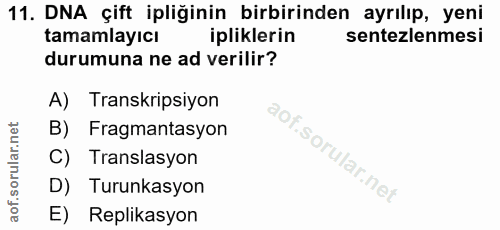 Soru 11