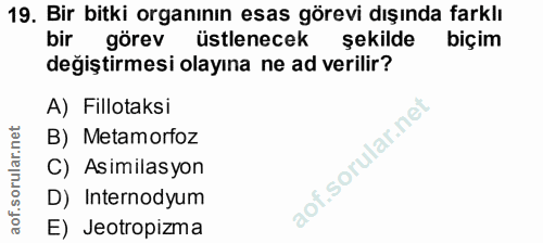Soru 19