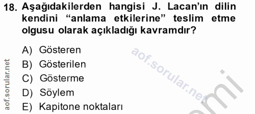 Soru 18