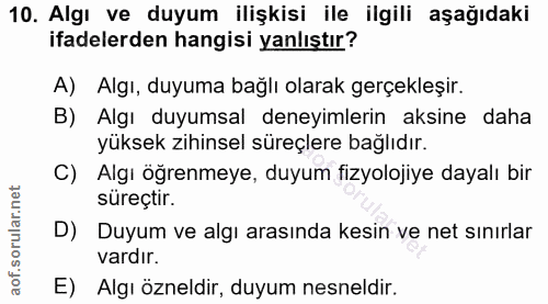 Soru 10