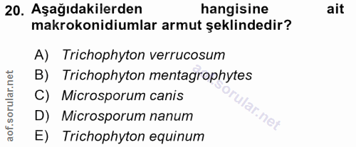 Soru 20