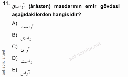 Soru 11