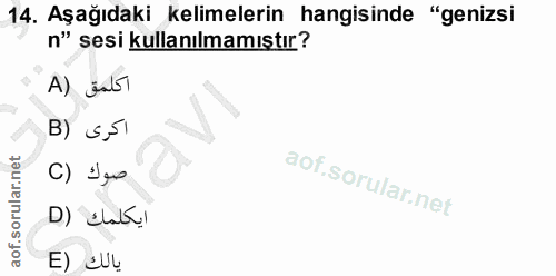 Soru 14