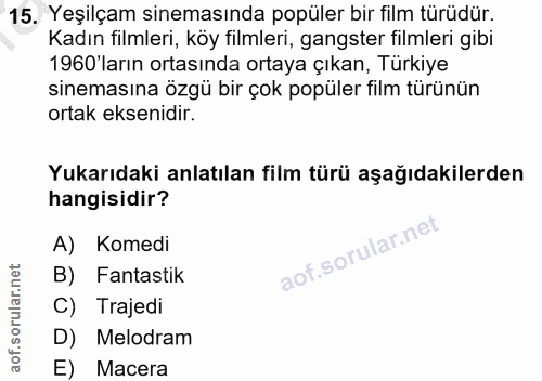Soru 15
